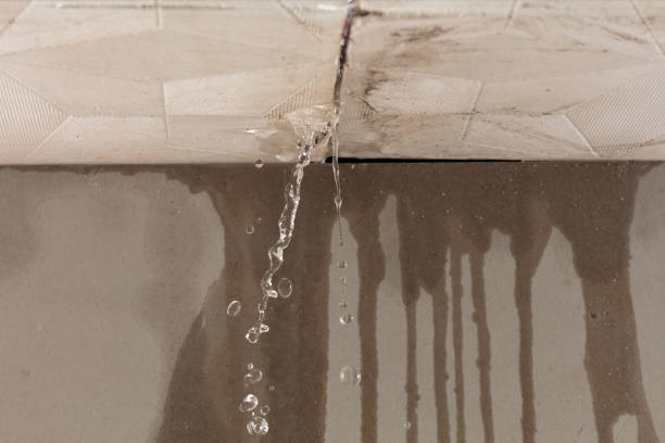 Professional Water Damage Repair technician working in Davis, CA